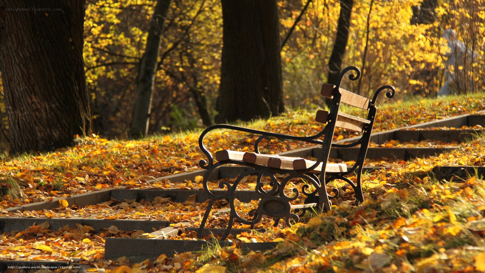 Autumn park bench