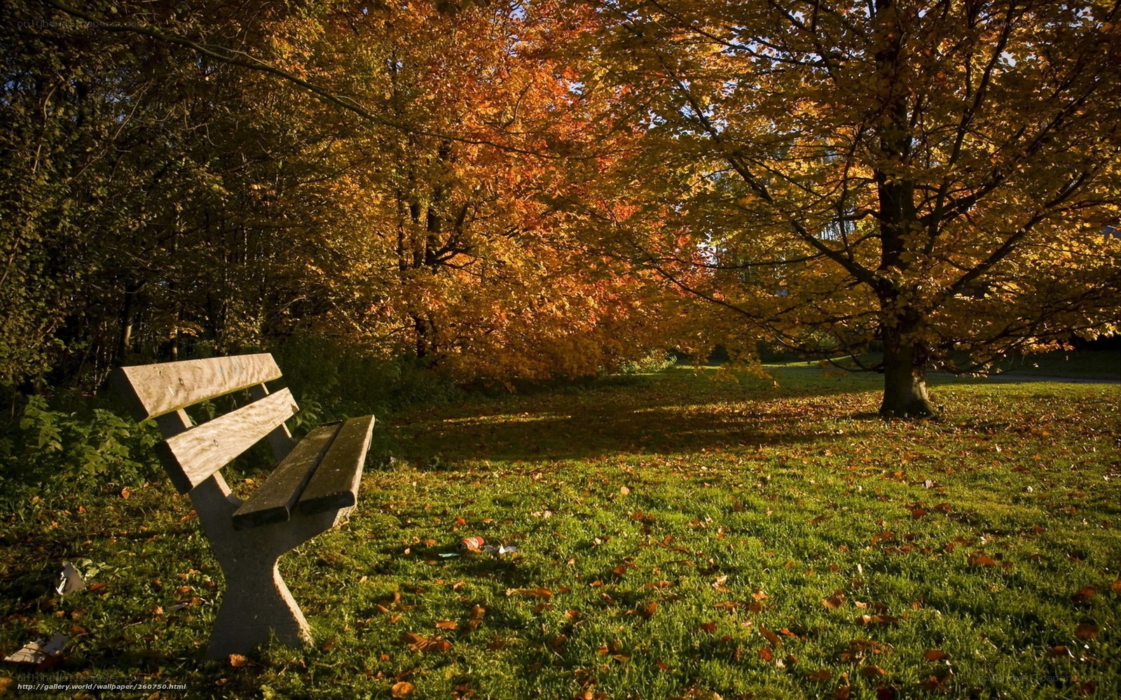 Autumn park bench