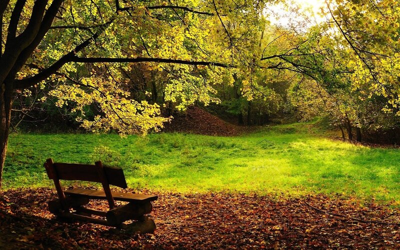 Autumn park bench