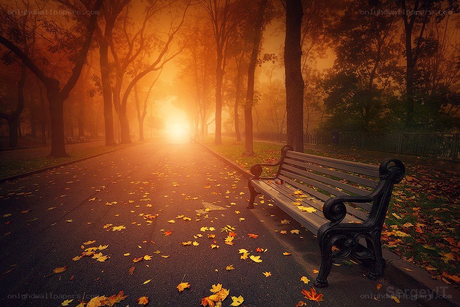 Autumn park bench at sunrise