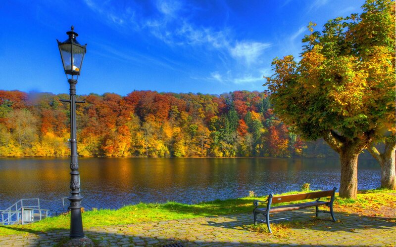 Autumn Park Bench — Blue, Serene
