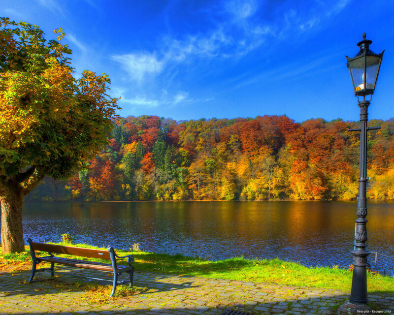 Autumn Park Bench — Blue