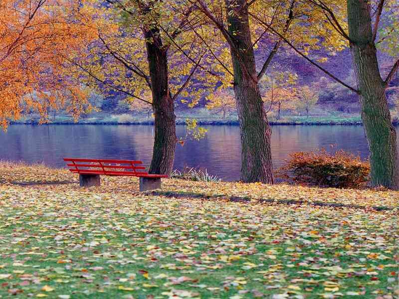 Autumn park bench by lake