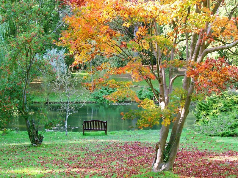 Autumn park bench by pond