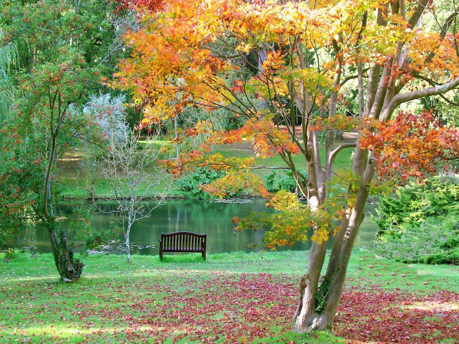 Autumn park bench by pond