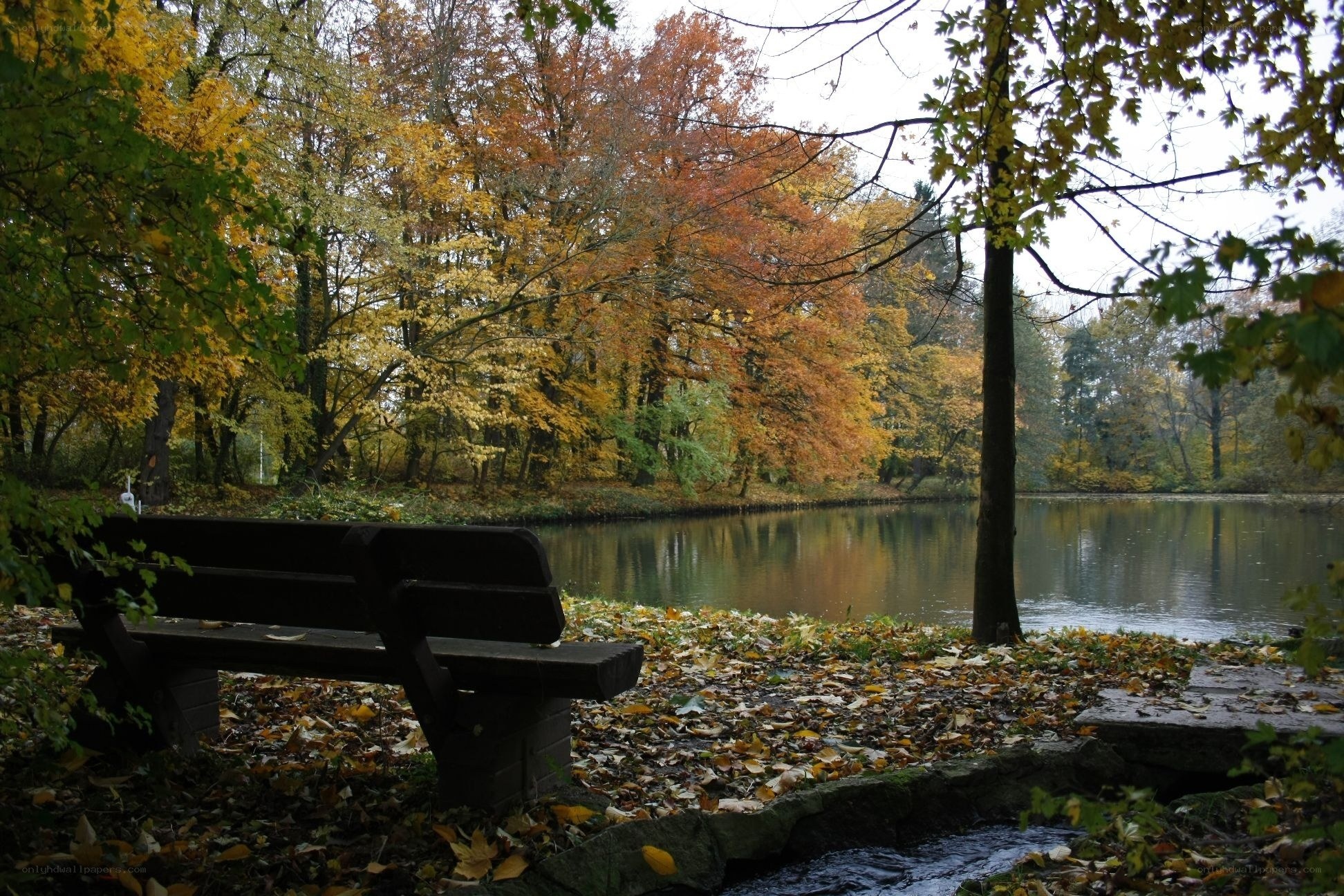 Autumn park bench by pond