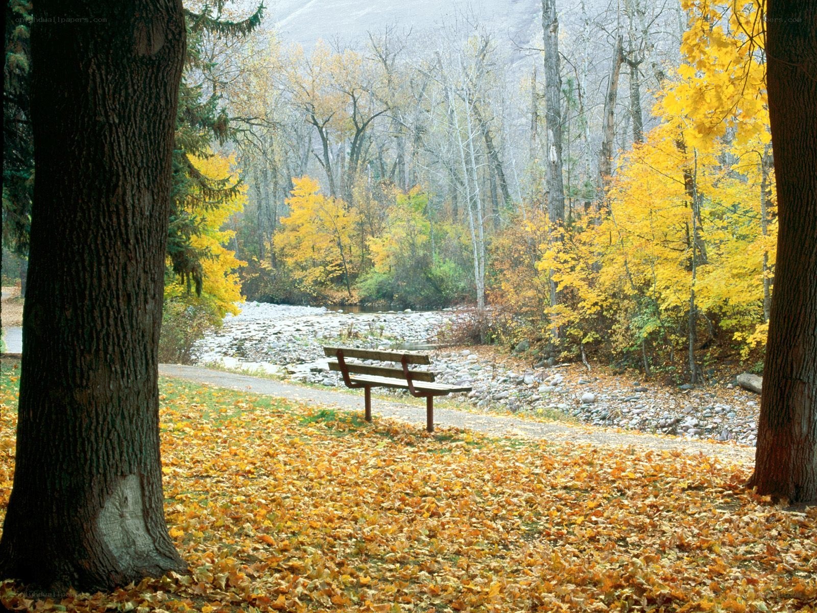 Autumn park bench by river