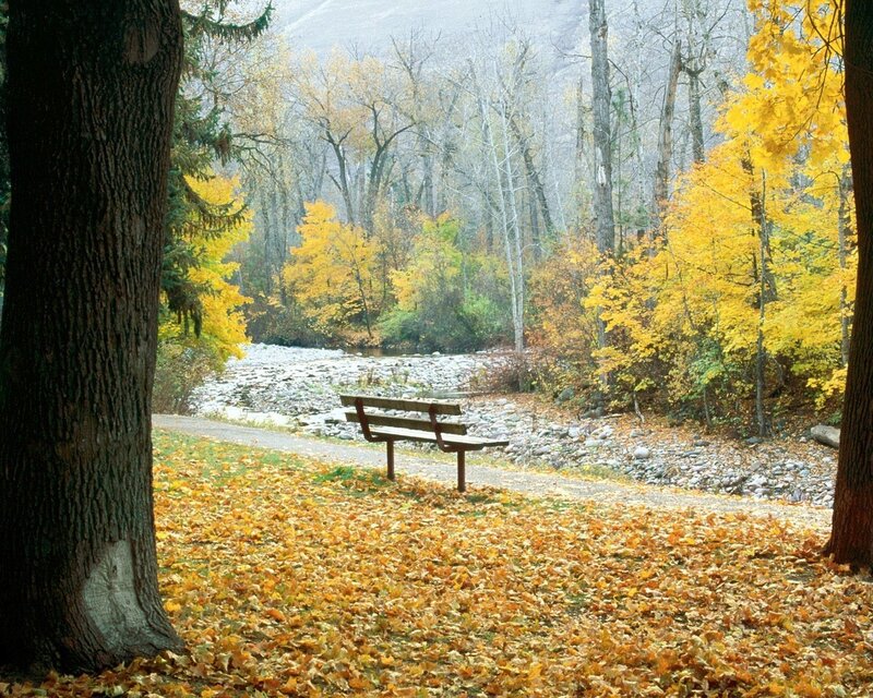 Autumn park bench by river