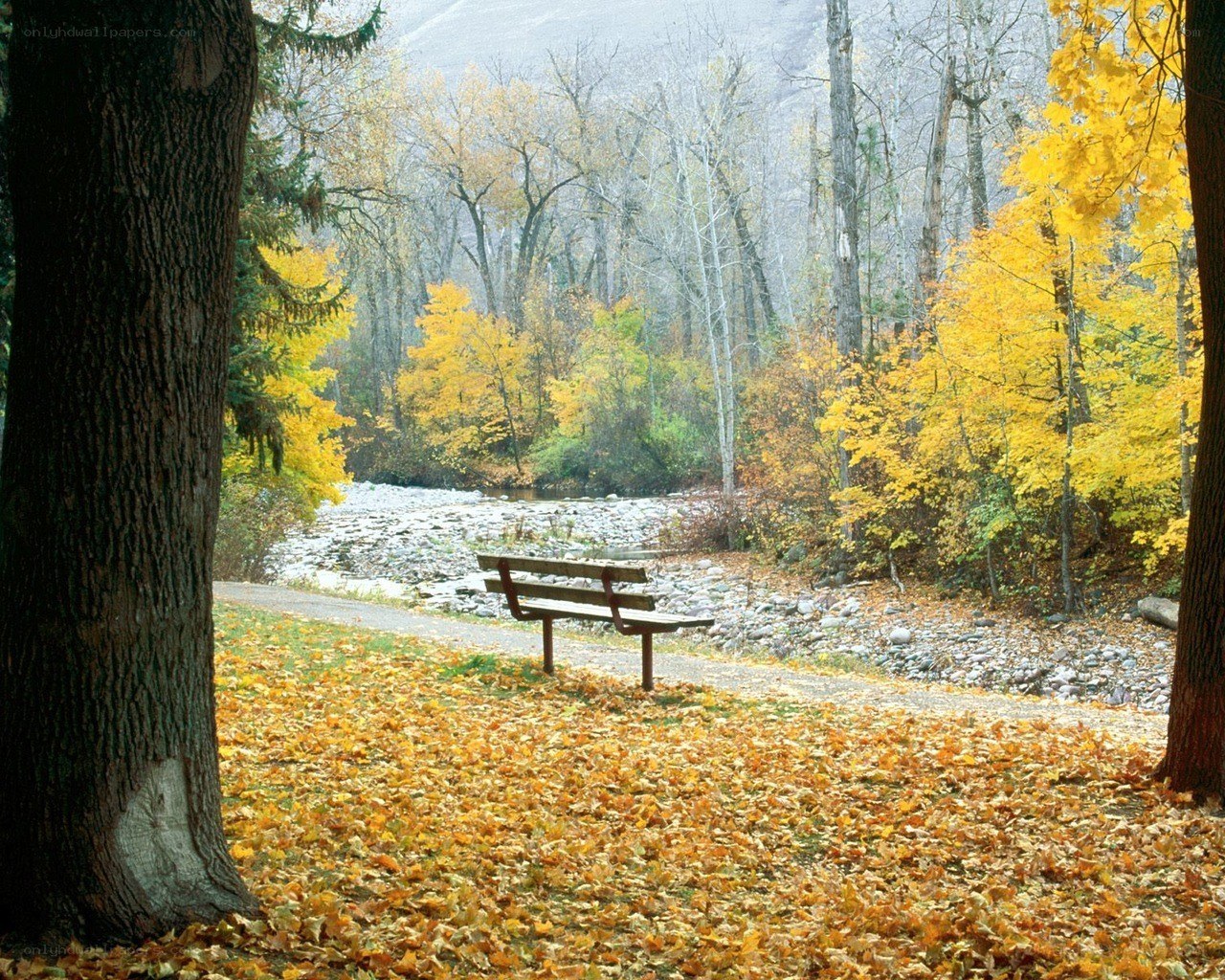 Autumn park bench by river