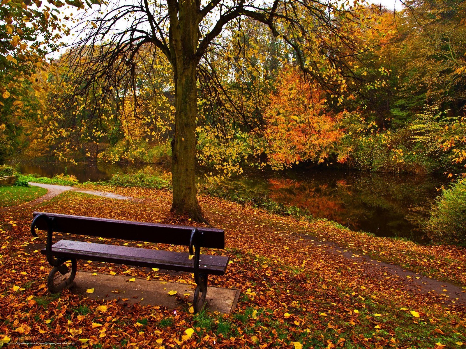 Autumn park bench by river