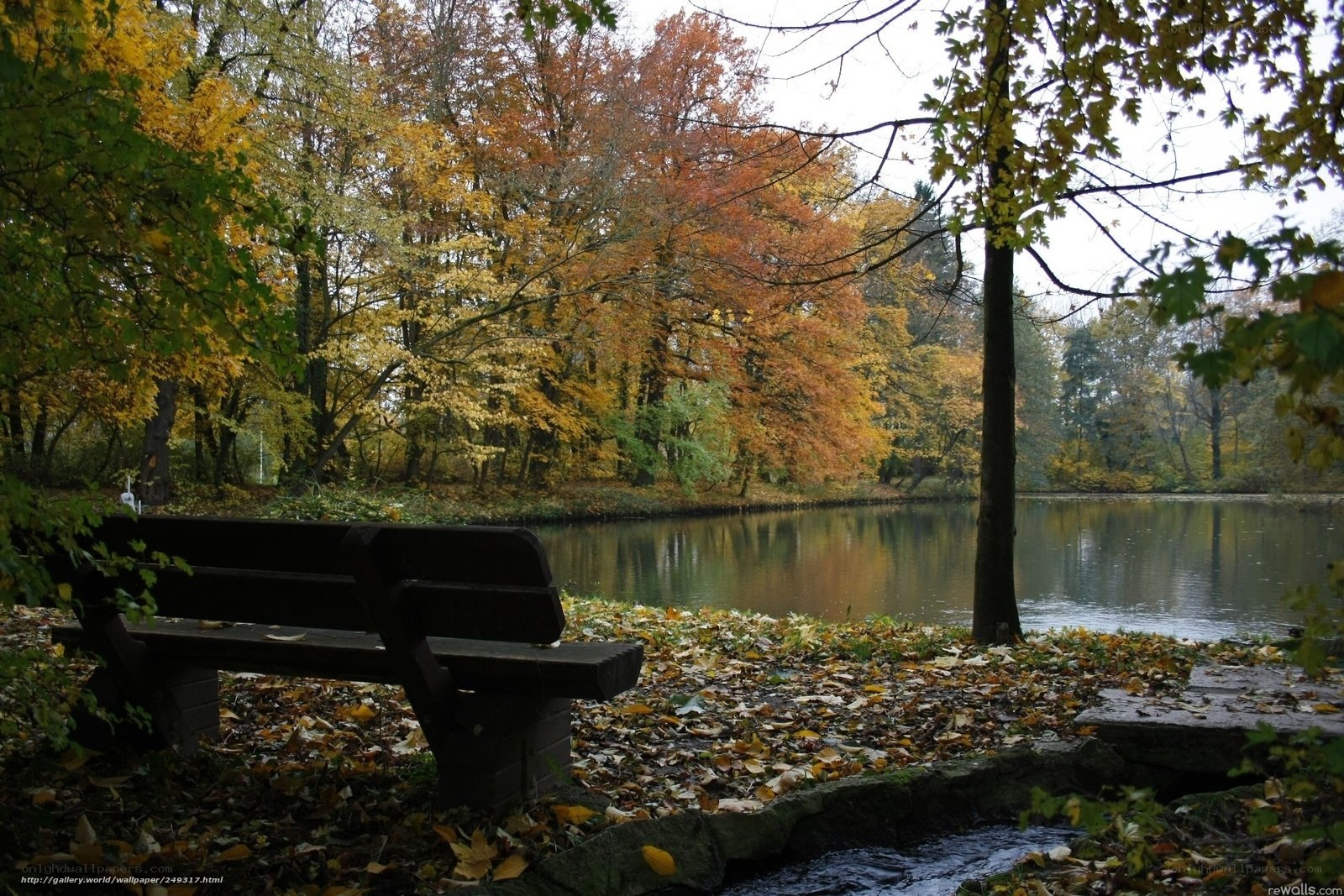 Autumn park bench by the lake