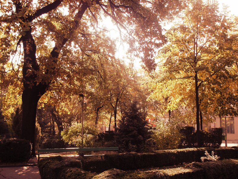 Autumn Park Bench — Gold