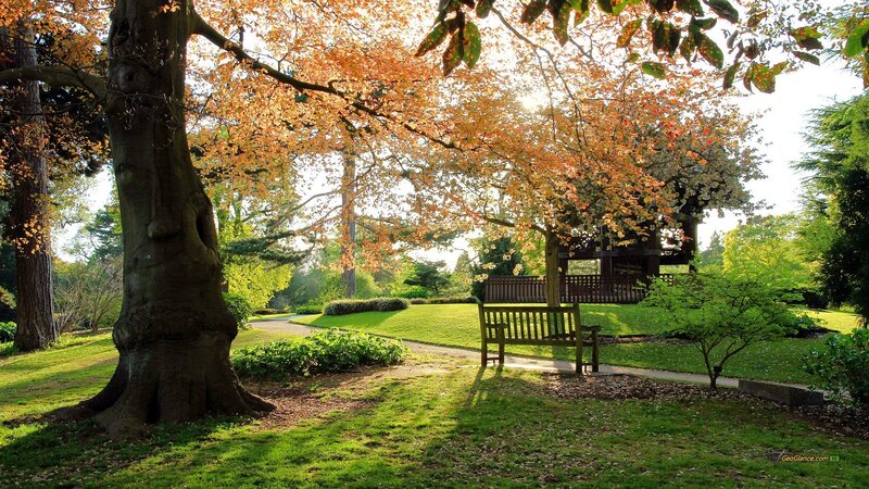 Autumn Park Bench — Green