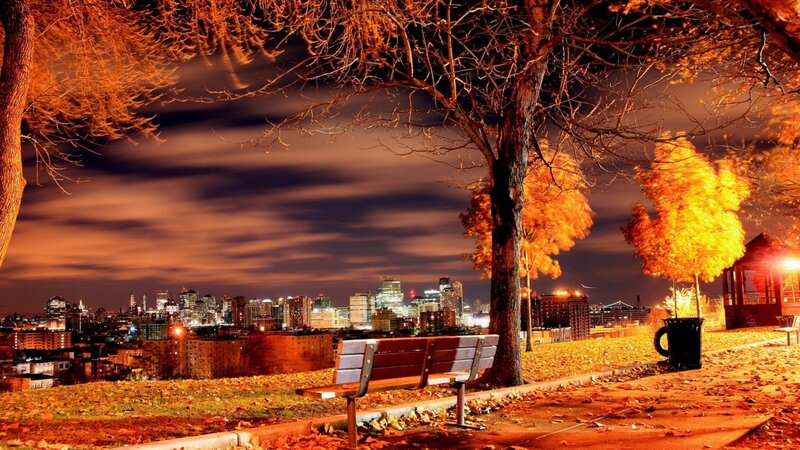 Autumn Park Bench — Orange, Serene, Night