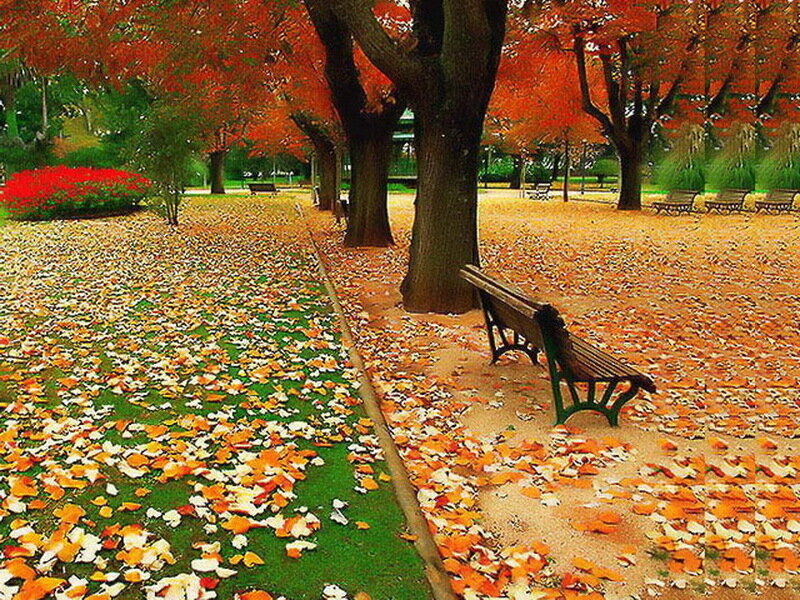 Autumn Park Bench — Orange