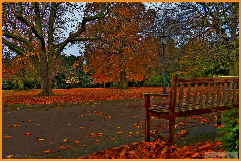 Autumn park bench scene