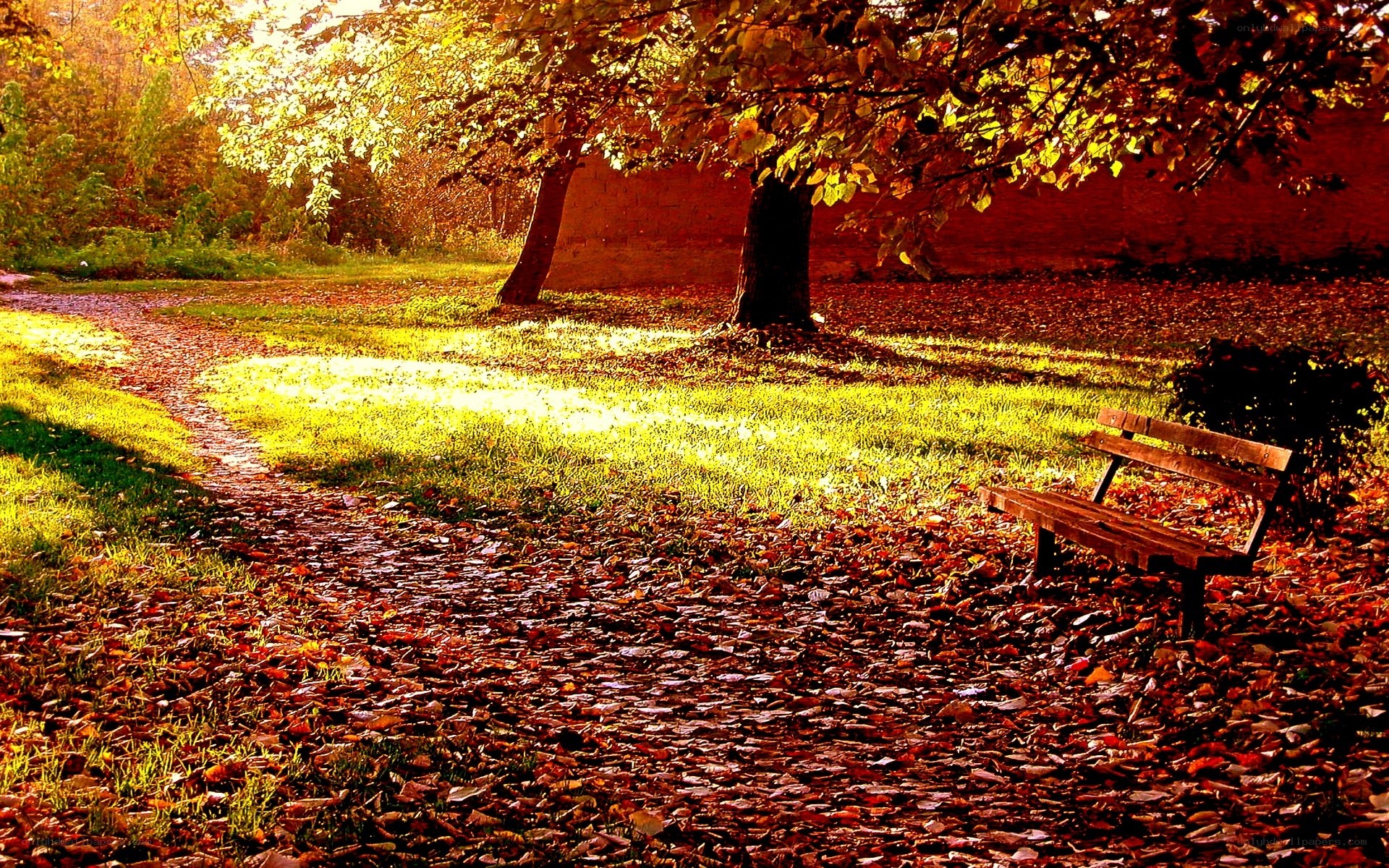 Autumn park bench scene