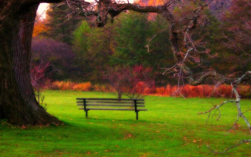 Autumn park bench scene