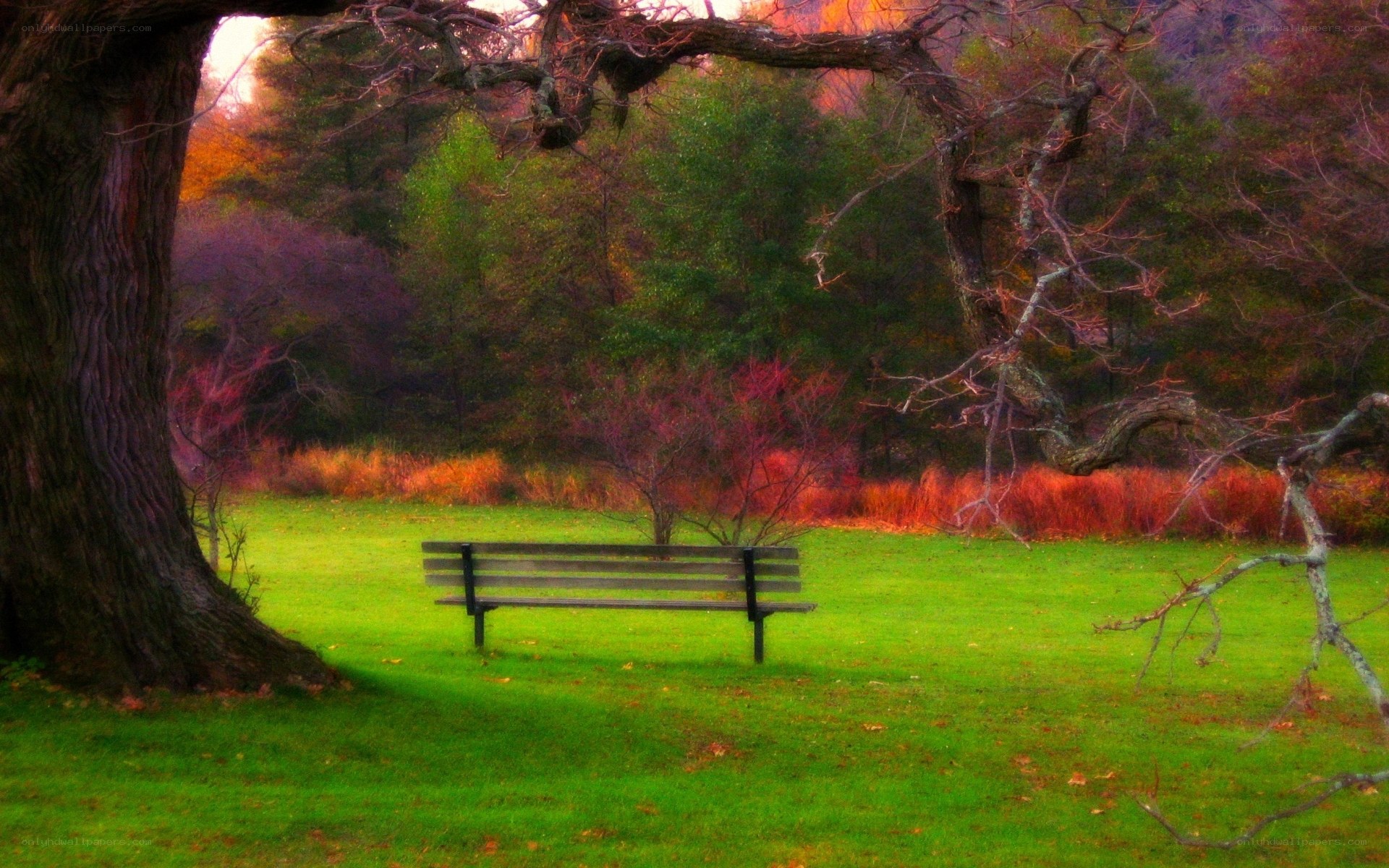 Autumn park bench scene