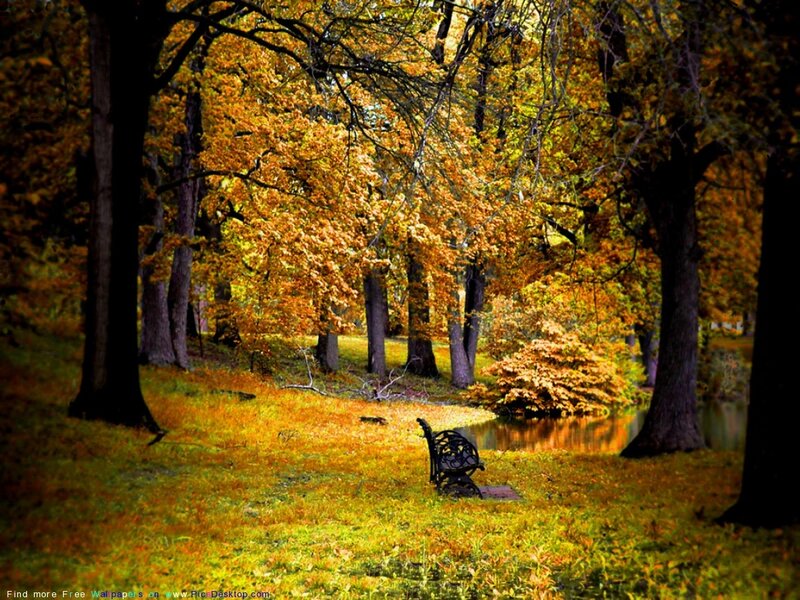 Autumn park bench scene