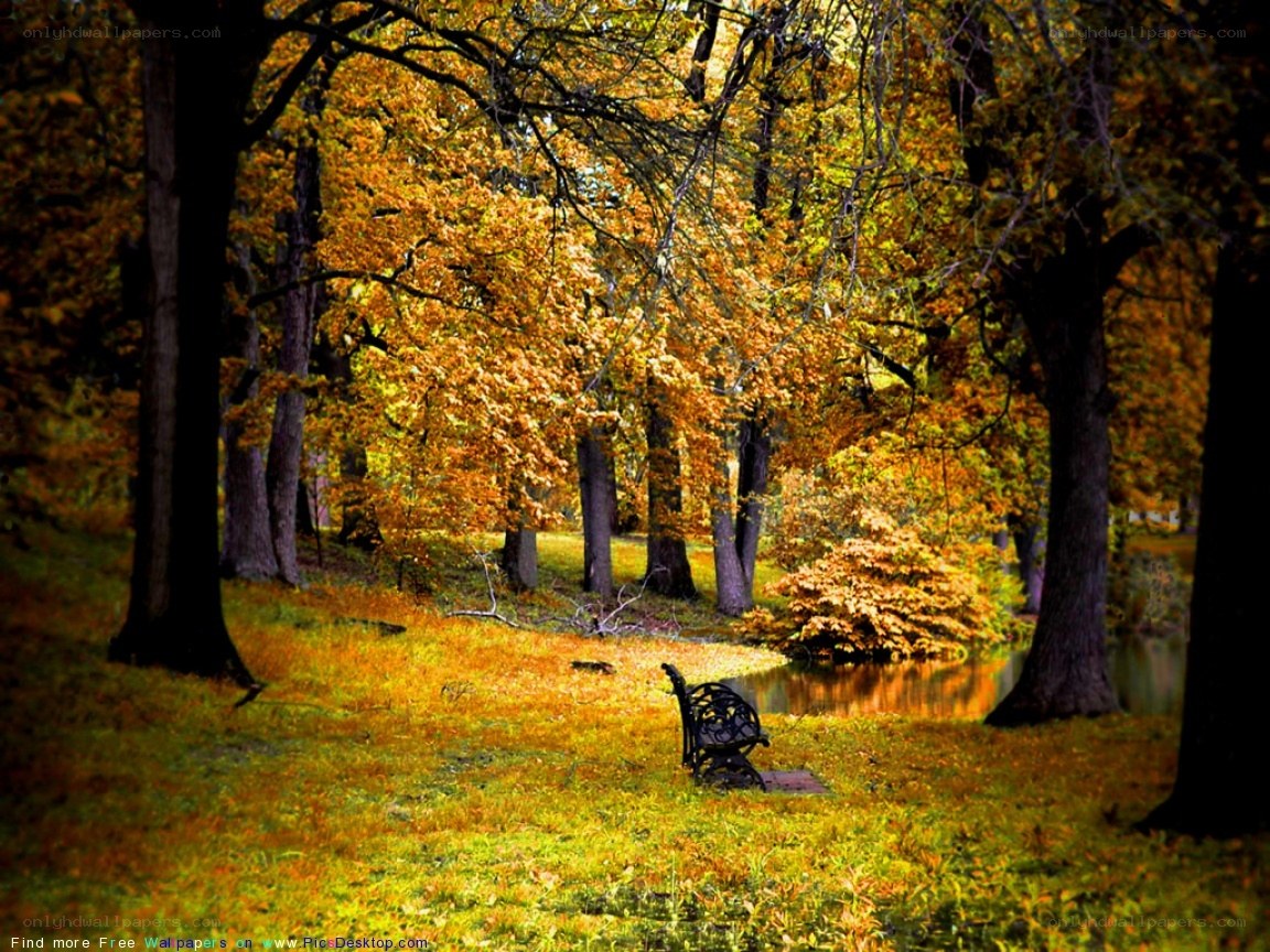 Autumn park bench scene