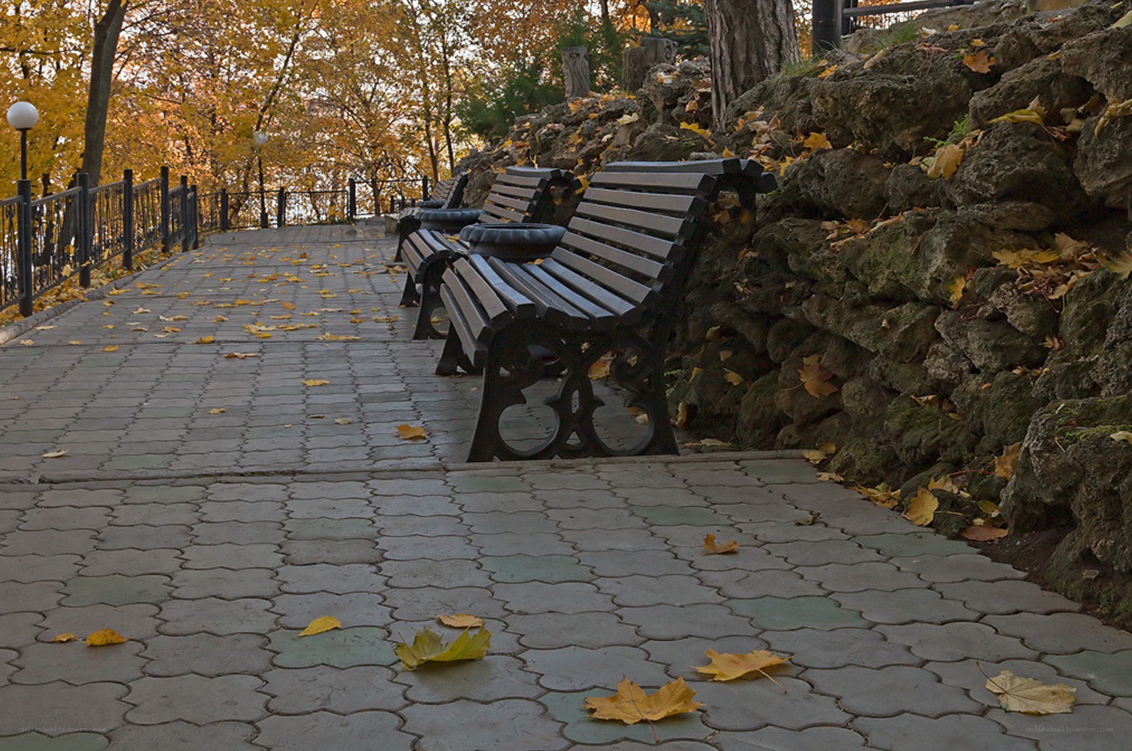 Autumn park bench scene