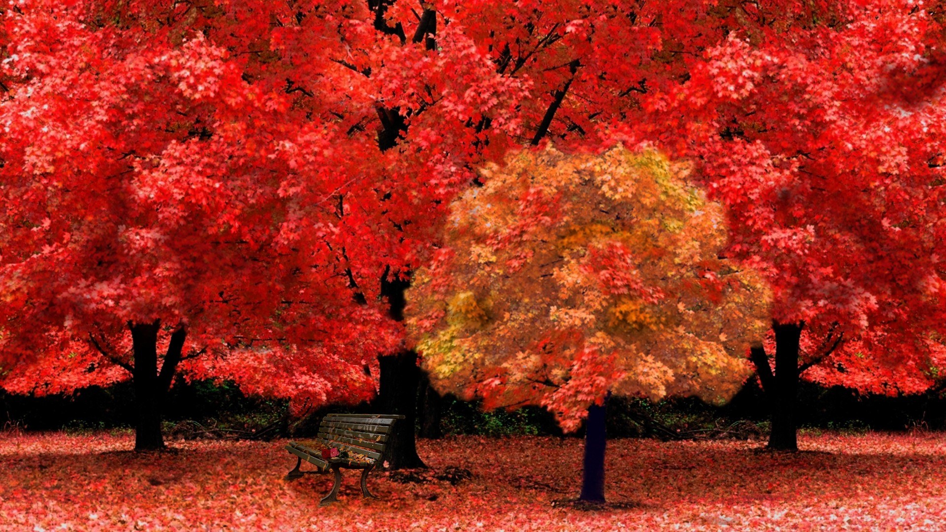 Autumn park bench scene