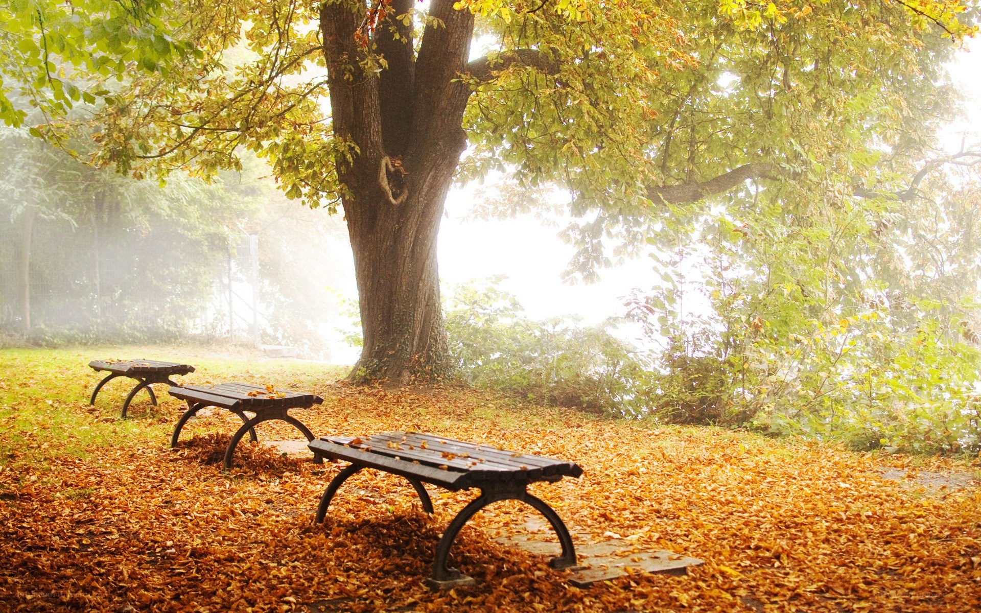 Autumn park bench scene