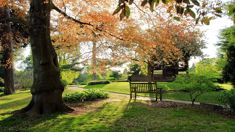 Autumn park bench scene