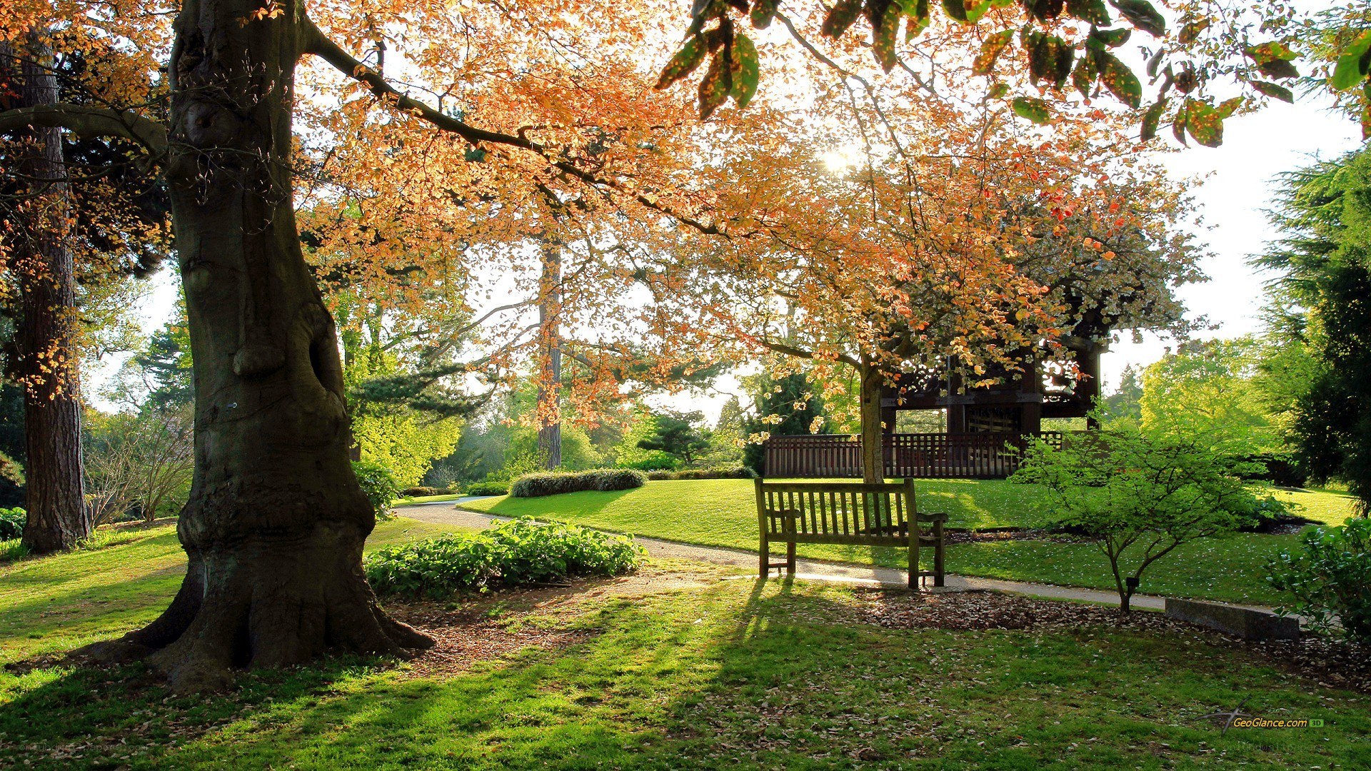 Autumn park bench scene