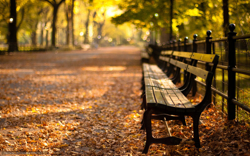 Autumn park bench scene