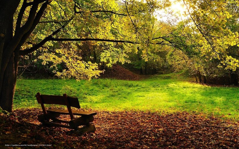 Autumn park bench