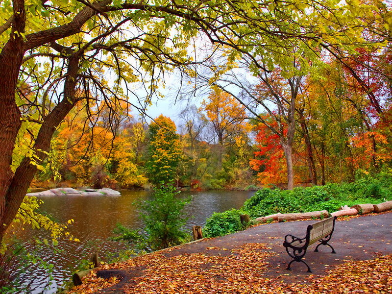 Autumn Park Bench — Yellow
