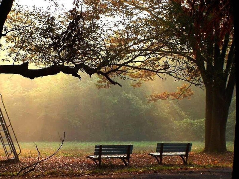 Autumn park benches