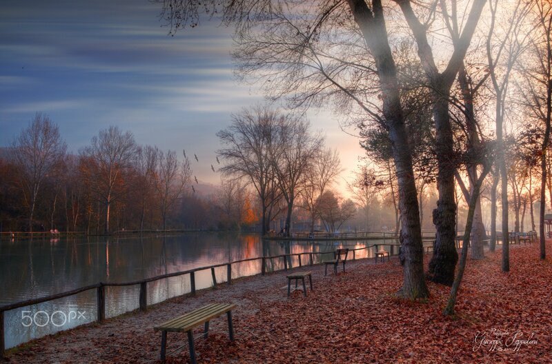 Autumn Park by Lake — Orange