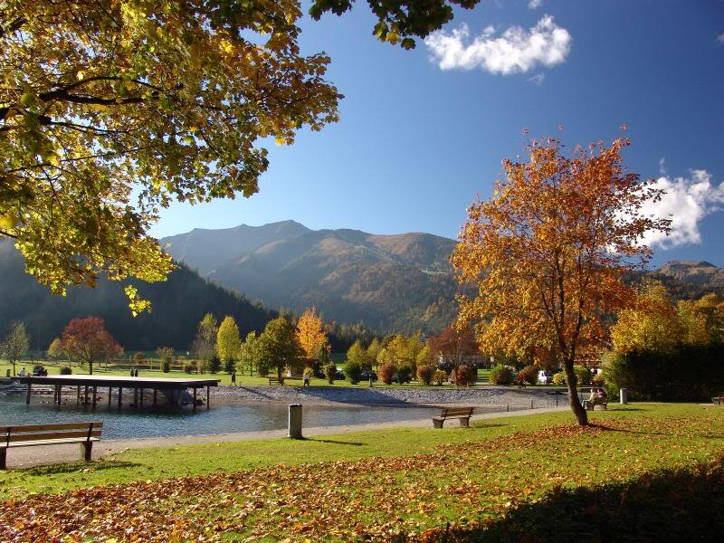 Autumn Park by Lake