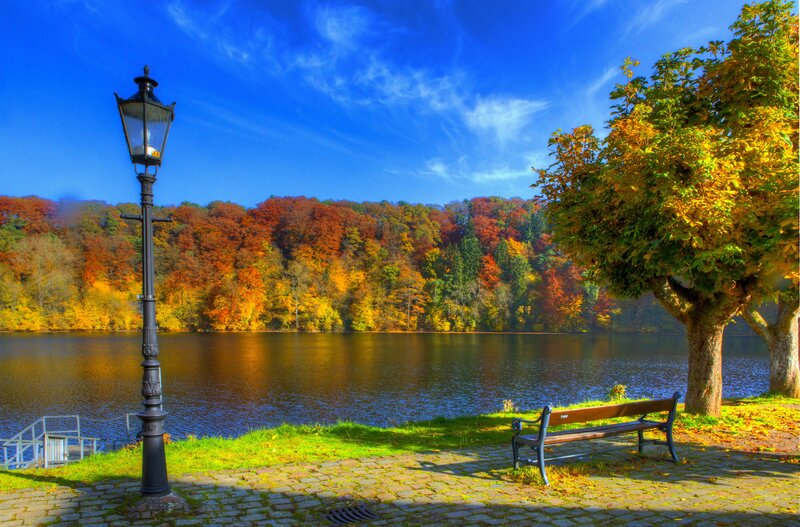Autumn park by the lake