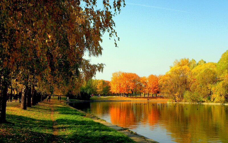 Autumn park by the lake