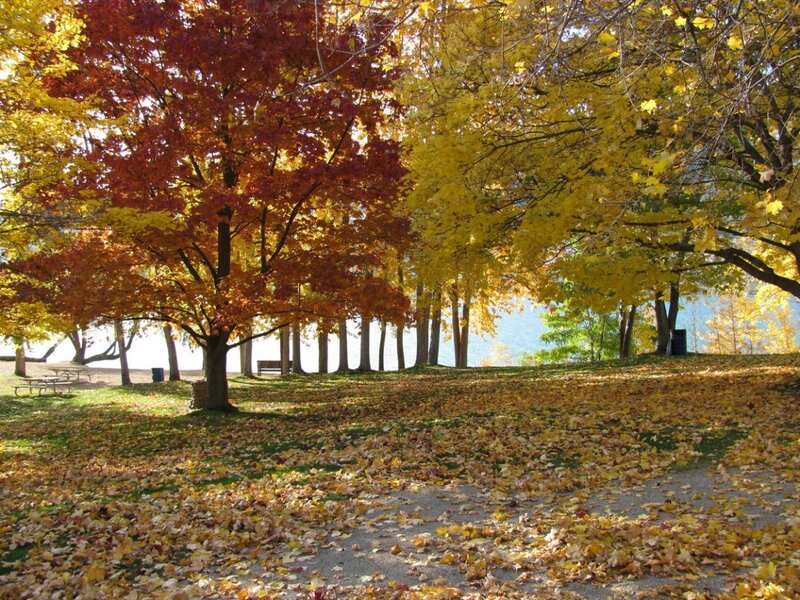 Autumn park by the lake