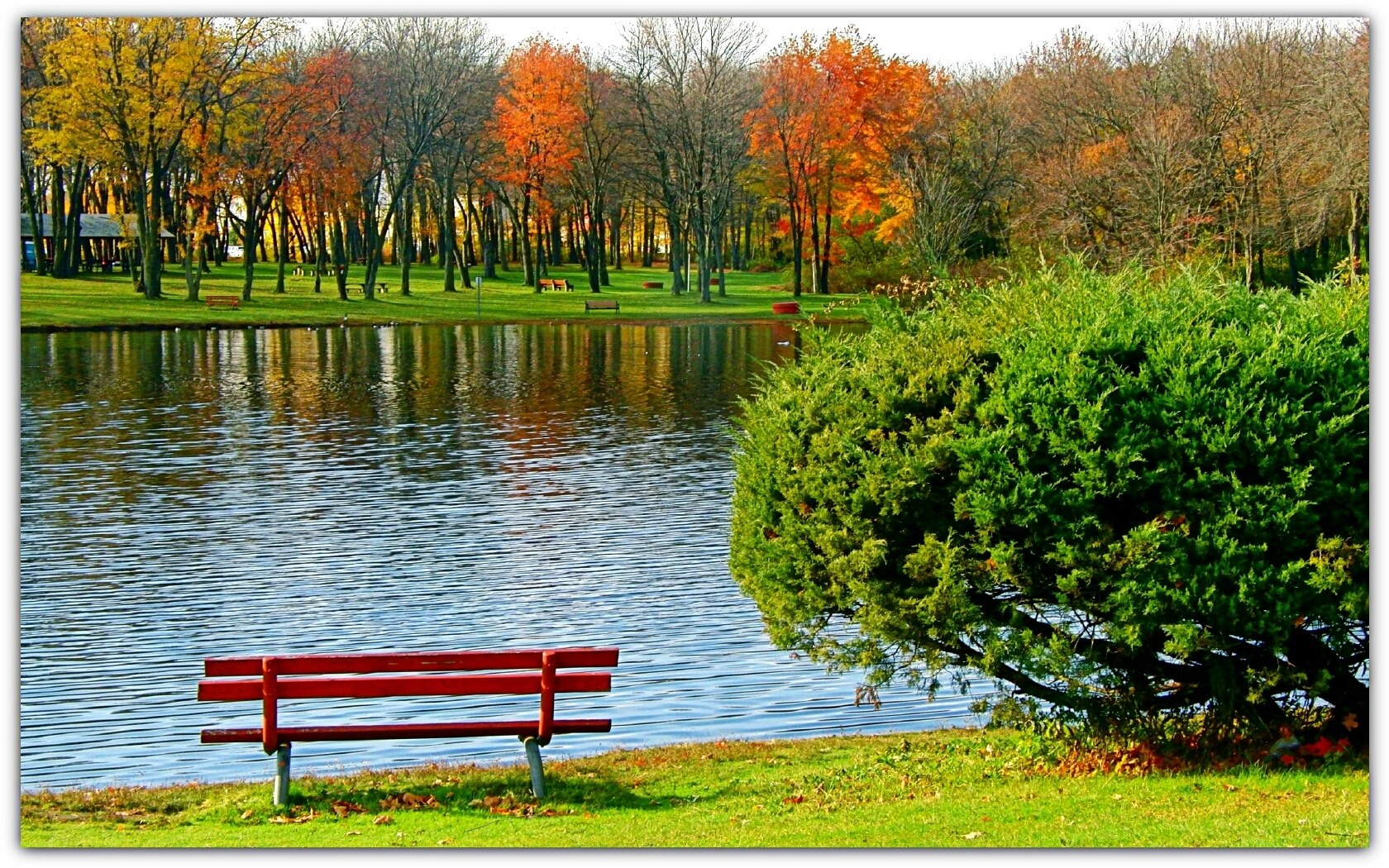Autumn park by the lake
