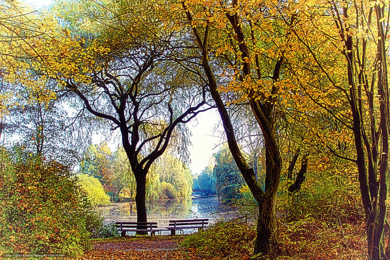 Autumn park by the lake