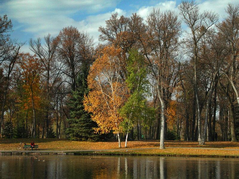 Autumn park by the pond
