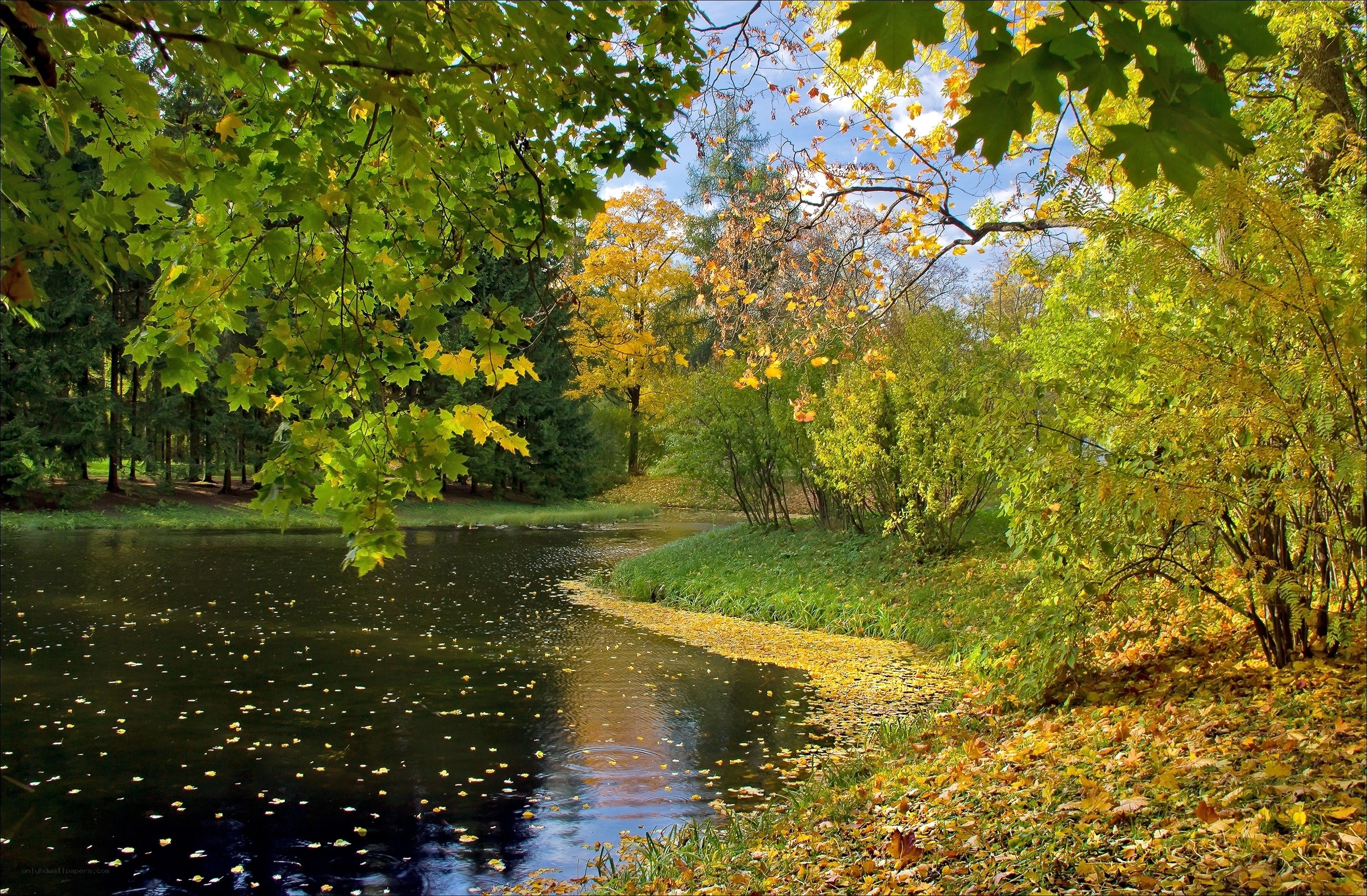 Autumn park by the pond