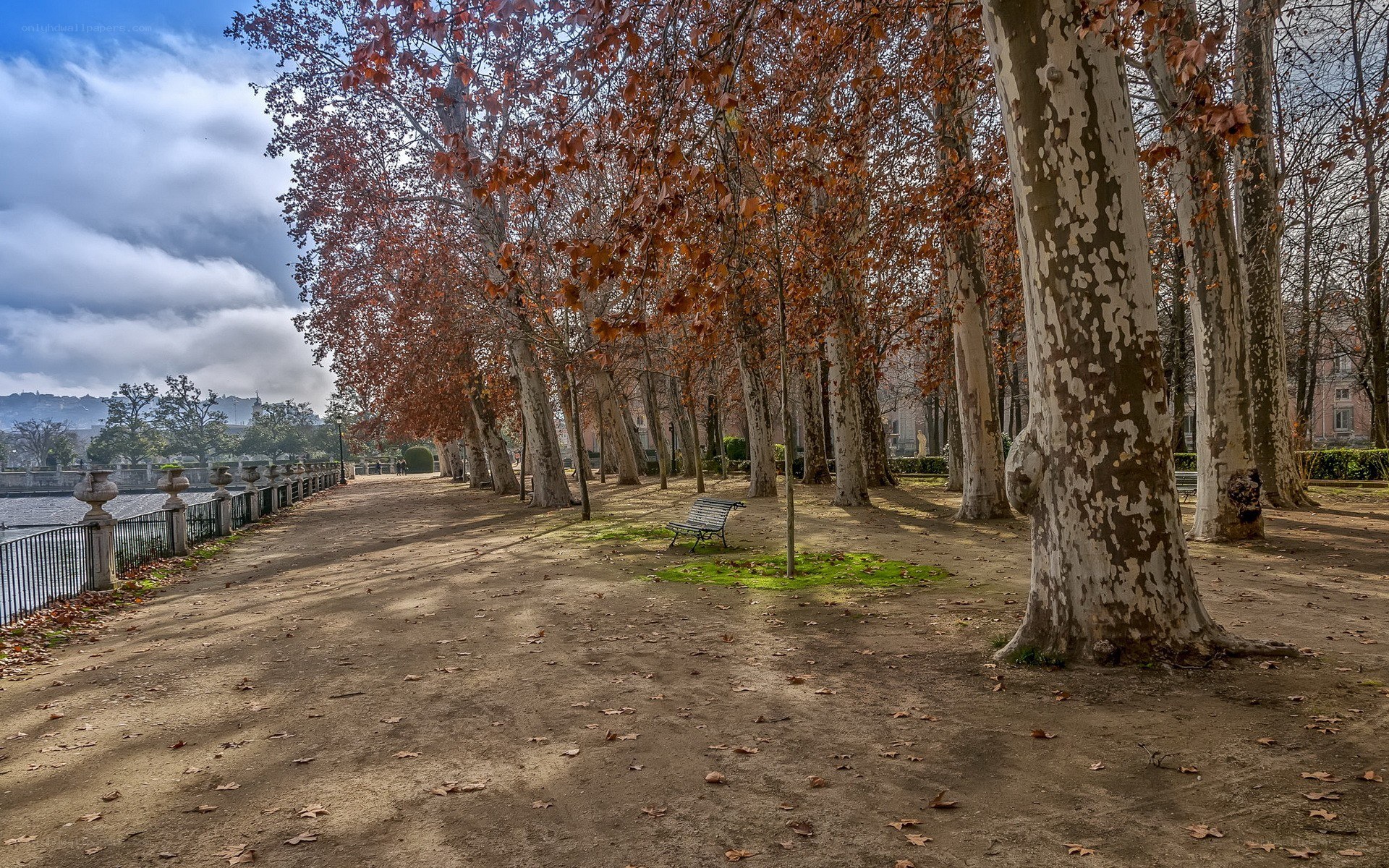 Autumn park by the river