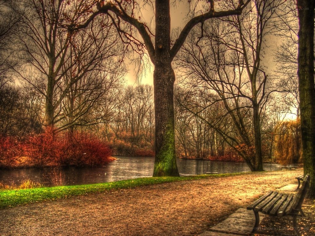 Autumn park by the river