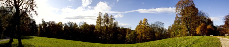 Autumn park landscape