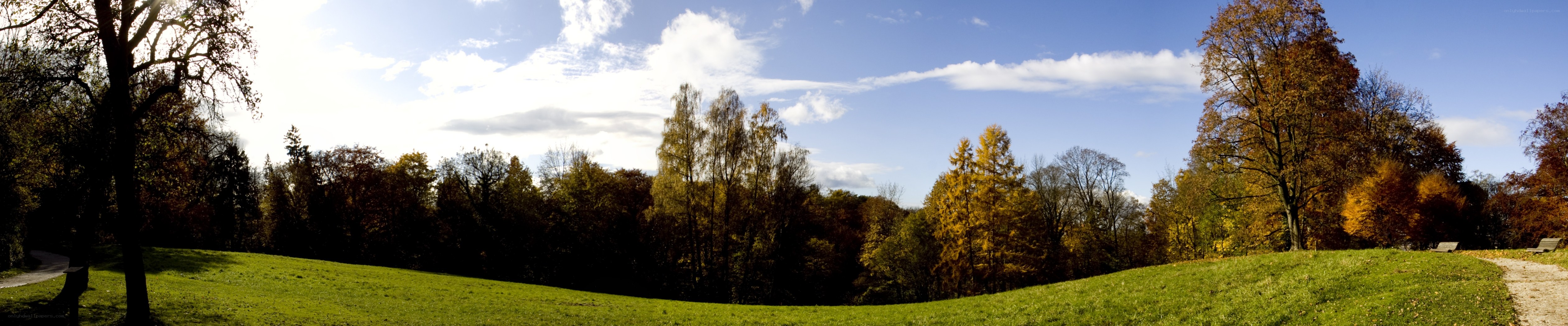 Autumn park landscape
