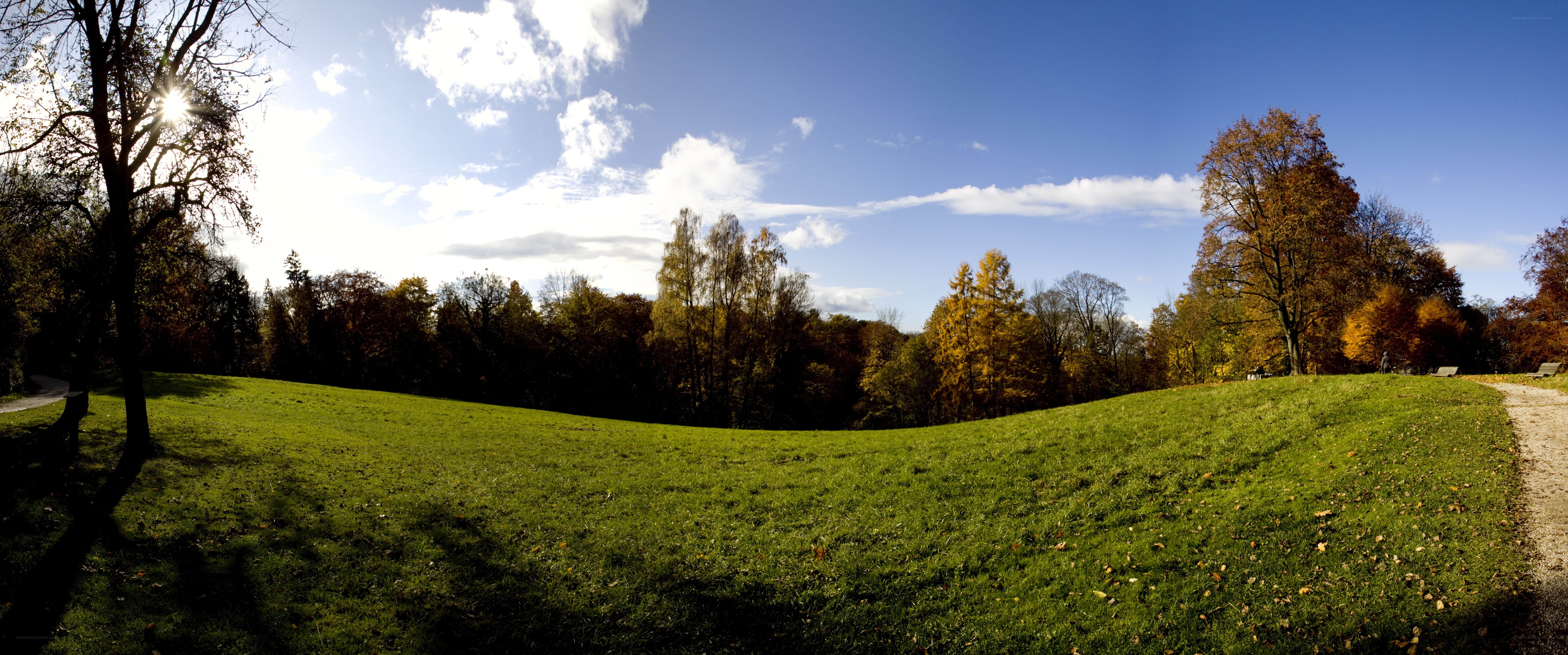 Autumn park landscape
