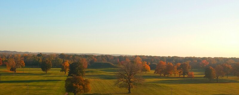 Autumn Park Landscape — Green, Serene