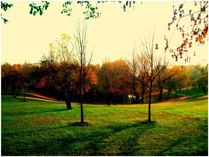 Autumn Park Landscape — Green